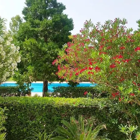 Apartmán Charming In 70 M² With Shared Pool